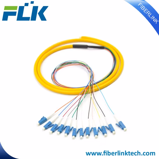 Sc 12 Core 0.9 Fiber Optic Pigtail