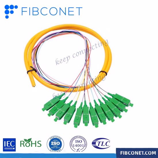 FTTH 12 Core Optical Cable Sc/APC Singlemode Fiber Optic Pigtail
