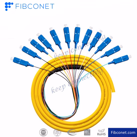 FTTH 12 Core Optical Cable Sc/APC Singlemode Fiber Optic Pigtail