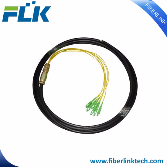 Sc 12 Core 0.9 Fiber Optic Pigtail